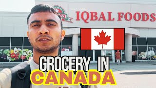 How much does food cost in Canada in 2024  Grocery in Canada [upl. by Ateuqahs]