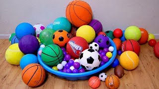 Learn Colors with ALotof Sport Ball for Children and Toddlers [upl. by Button]