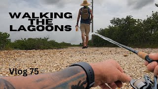 Vlog 75 Walking the lagoons for a nibble after some summer rain [upl. by Nichol466]