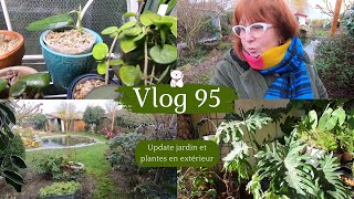 VLOG 95 🌿 Update plantes en extérieur Philo Alocasia et jardin  Mes boutures de Hoyas poussent [upl. by Adnowal866]