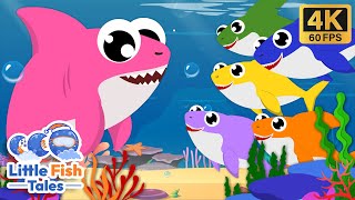 Five Little Baby Shark  Sing along  Little Fish Tales  babyshark fish [upl. by Jonme]