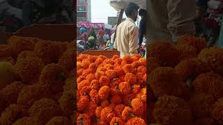 Diwali Diwali ke liye Phool Le jaen Keval 20 rupya kilo Nepaliblog diwalifaral [upl. by Idnerb]