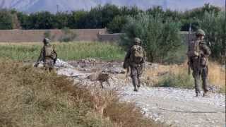 US Marines In Sangin Afghanistan [upl. by Kalvin]