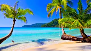 4k UHD Tropical Beach amp Palm Trees on a Island Ocean Sounds Ocean Waves White Noise for Sleeping [upl. by Ettenauq]