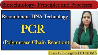 PCR  Polymerase Chain Reaction  Biotechnology  Principles and Processes  Class 12 BiologyNEET [upl. by Nairred556]