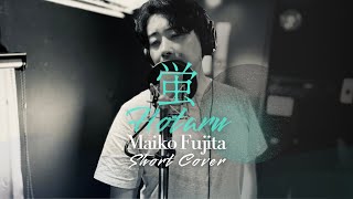 Hotaru  Maiko Fujita Male Short Cover by FUJI manabu [upl. by Atnas]