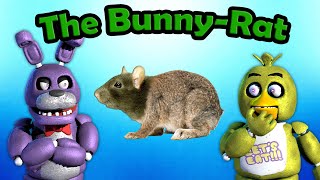 Freddy Fazbear and Friends quotThe BunnyRatquot [upl. by Tremaine17]