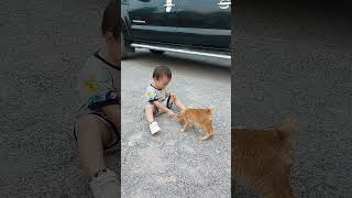 My Son plays with a little kitten at Sampov Mountain Battambang [upl. by Ecinwahs]