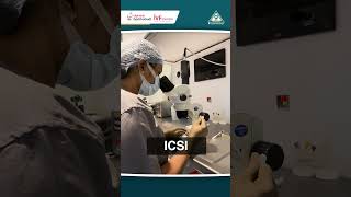 ICSI Procedure  Practical Demonstration By Dr Priyanka Rani GarbhaGudi IVF Centre Electronic City [upl. by Mera]