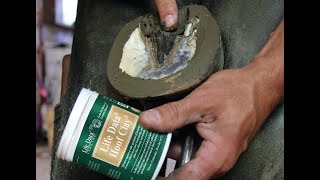 Life Data® Hoof Clay® Antimicrobial Hoof Clay [upl. by Macnamara273]