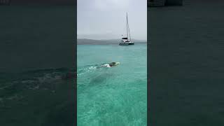 Seabob snorkeling at the beautiful DC Beach in MoBay beach beautiful jamaica seabob travel [upl. by Fortna]