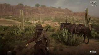 Cinematic Red Dead Online ASMR Longplay [upl. by Ynnos]