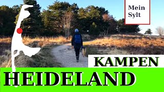 Sylt Kupferkanne Kampen  Walking tour [upl. by Slemmer]