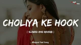 choliya ke hook raja ji  slowed reverb  full song arvindakelakallu bhojpurisadsong [upl. by Eisserc766]