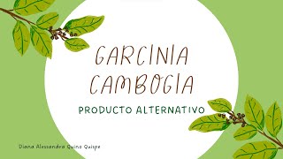 GARCINIA CAMBOGIA [upl. by Kaliope]