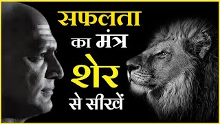 शेर से सीखे सफलता का मूलमंत्र Lion Success Mantras by Chanakya Niti by stmotivation [upl. by Geer]