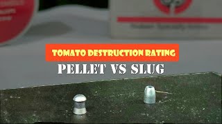 JSB PELLET VS NIELSEN SPECIALTY AMMO NSA SLUG  Tomato Destruction Rating [upl. by Auqinat]