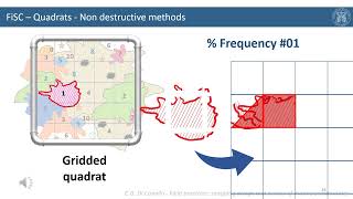 FiSC  Non destructive methods  Quadrats [upl. by Kcirrek]