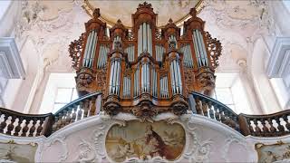 Sinfonia in C gr terts JS Bach Ronald de Jong Silbermann orgel Arlesheim [upl. by Fulmis599]