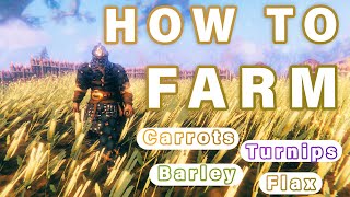 How to FARM in Valheim  Carrots Turnips Barley Flax ► Valheim [upl. by Garling]