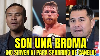 ESTO DIJO MARCO BARRERA Y JUAN MANUEL MARQUEZ SOBRE LOS POSIBLE RIVALES DE CANELO PARA SEPTIEMBRE [upl. by Arihsay]