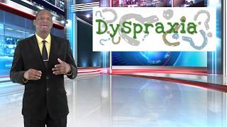 Dyspraxia Insights Information amp Personal Perspectives [upl. by Ayisan699]