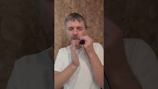 Kyrgyz Jaw Harp  Traditional key G2 Fast composition [upl. by Roxane]