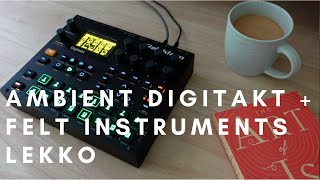 AmbientDub Digitakt  Felt Instruments Lekko [upl. by Retsehc398]