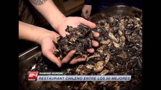 Boragó El restaurante chileno que se posicionó dentro de los 50 mejores  24 Horas TVN Chile [upl. by Aggy22]