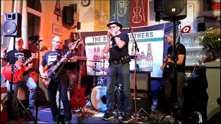 Whammer Jammer  Cover The Booze Brothers [upl. by Worden]