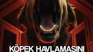 Köpek havlamasını durduran ses [upl. by Ahselaf]