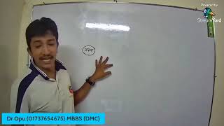 নিউটনিয়ান বলবিদ্যা  Newtonian Mechanics  MediAim  HSC  Admission  Part01  Free Class04 [upl. by Anayi790]