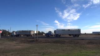 Froese Brothers Harvesting leaving Tribune Kansas [upl. by Aynad798]