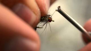 Shopdust Caddis Emerger [upl. by Hoffer]