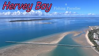 Hervey Bay a Fishing Paradise [upl. by Lig216]