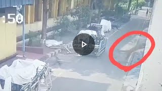 Leopard captured in cctv at RSB plant [upl. by Rehtnug359]