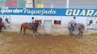 TREINO DE VAQUEJADA  CORRENDO GADO PARTE 2 [upl. by Hadeis]