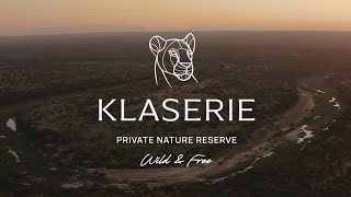 A Wild amp Free Experience  Klaserie Private Nature Reserve [upl. by Stanwin]