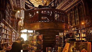 Livraria Lello Cidade do Porto em Portugal [upl. by Hach964]