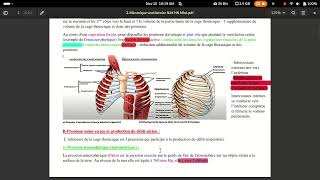 physiologie respiratoire mécanique ventilatoire [upl. by Annunciata323]