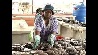 Angola Magazine  Luanda1ª Feira do Pescador [upl. by Niveb]