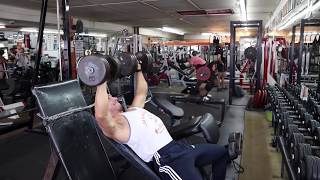 Full Body Workout Sterns Gym San Diego [upl. by Rudie]