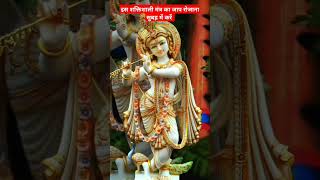 प्रभु श्री कृष्ण मंत्र जप रोजाना करें krishna radheshyam narayan youtubeshorts youtube video [upl. by Gerhard]