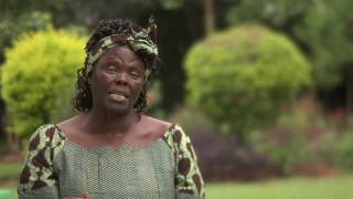 Wangari Maathai amp The Green Belt Movement [upl. by Anaujik688]