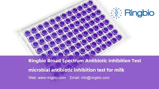 Ringbio Broad Spectrum Antibiotic Test Kit ACCUPLUS MAT5 the milk antibiotic inhibition test kit [upl. by Barrie32]