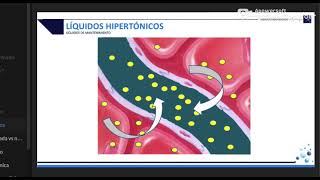 LIQUIDOS BASALES EN PEDIATRIA [upl. by Dessma]