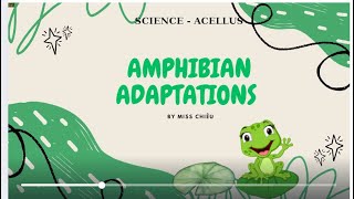 UNIT 18  AMPHIBIAN ADAPTATIONS  SCIENCE  ACELLUS  GRADE 2 [upl. by Ffilc]