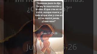 fe biblia reflexiones  oración citasbiblicas diosteama citasbíblicas oracion dios [upl. by Nenad549]