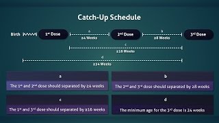 Hepatitis B Vaccine Routine and Catchup Schedule [upl. by Bogusz]