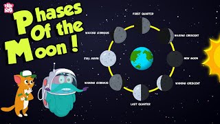 Phases Of The Moon  Why Does The Moon Change Its Shape  Space  Dr Binocs Show  Peekaboo Kidz [upl. by Renrew]